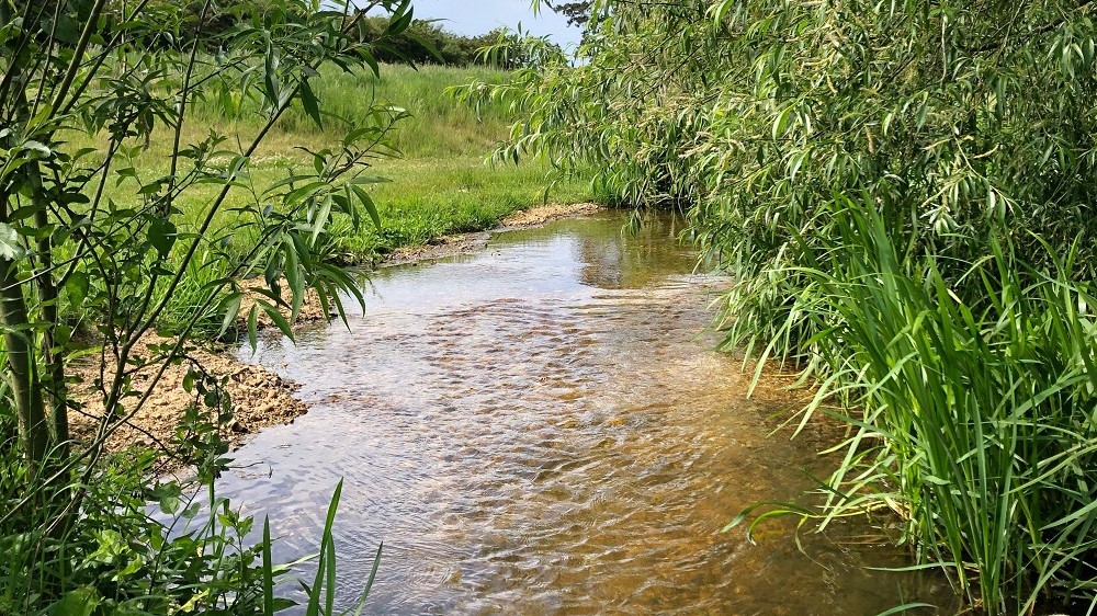 Photo of a stream