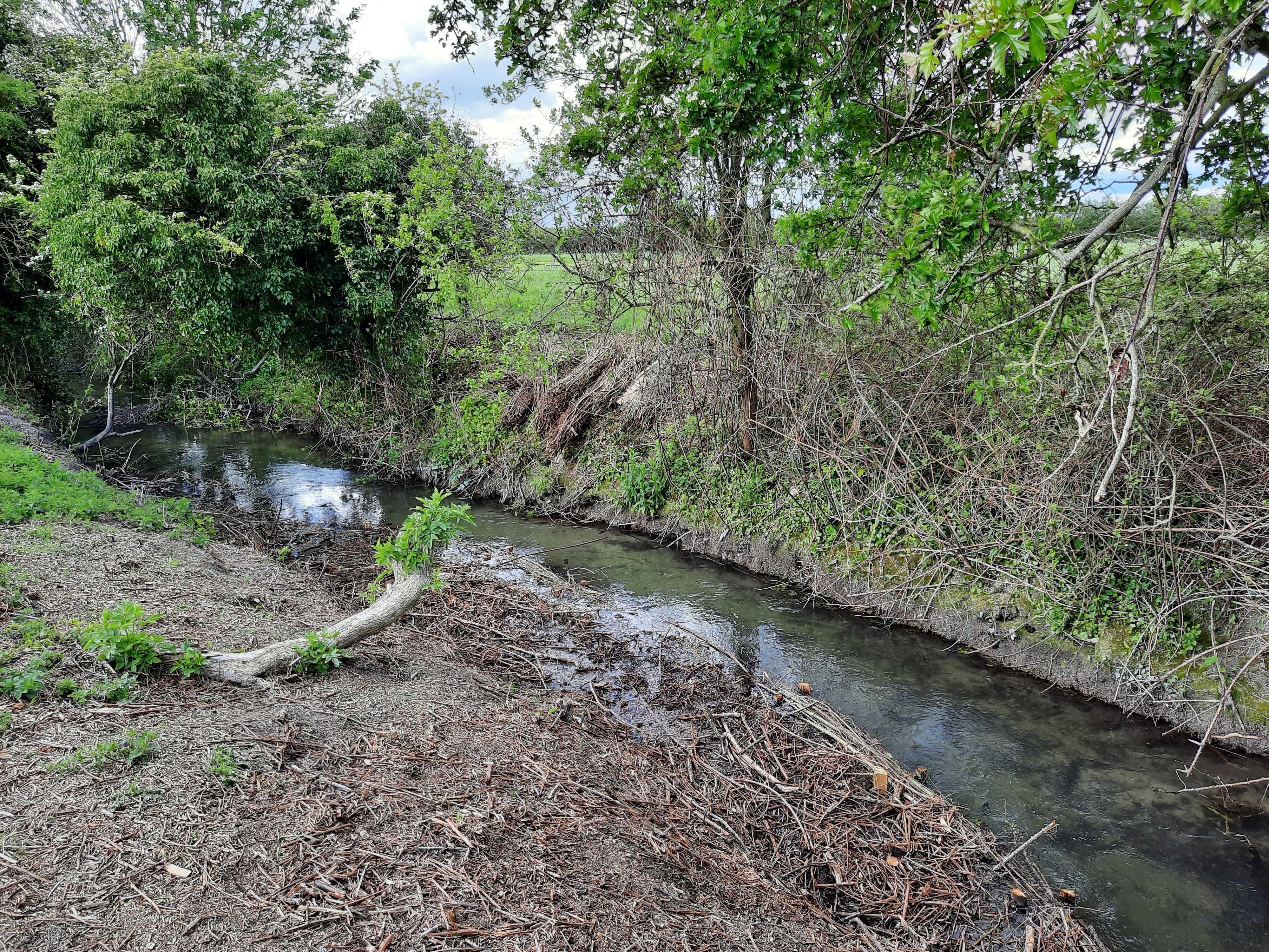 Photo of work at the River Mel