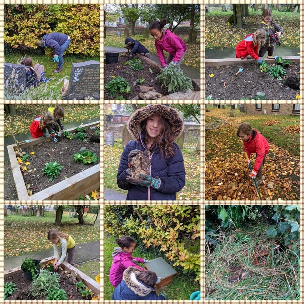 Photo collage of Brownies building log piles