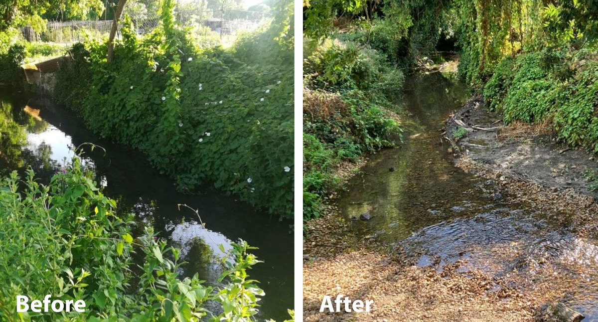 Photo of Cherry Hinton Brook before and after work, showing it very overgrown and straight before the work was carried out.
