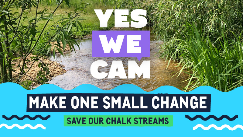 Yes We Cam graphic with the caption 'Make one small change, save our chalk streams'