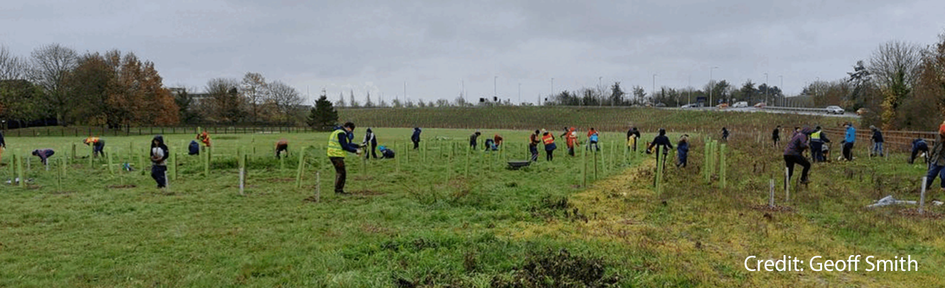 Photo showing Histon and Impington plant trees! (Credit Geoff Smith)