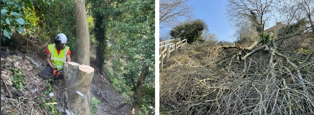 Photos of work at the nature reserve