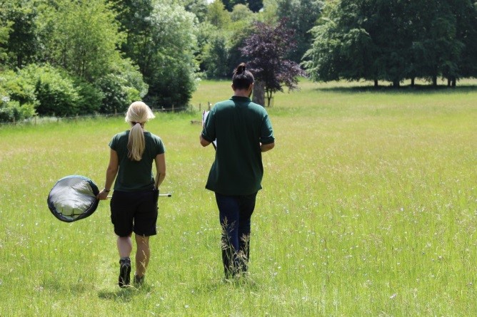 Photo shows EMBLEM volunteers monitoring butterfly activity