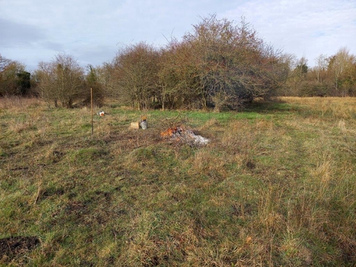 Photo showing scrub clearance